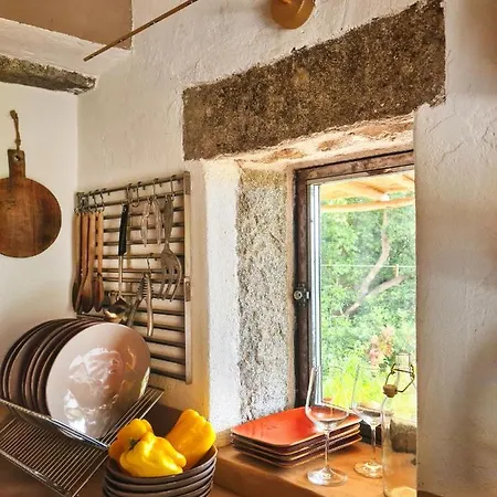 Casa Nel Bosco Semesterbostad Seccheto