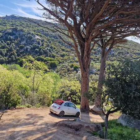 Casa Nel Bosco